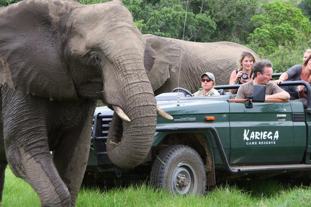 Kariega Game Reserve River Lodge Kenton on Sea Exterior photo